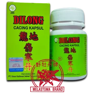 Dilong