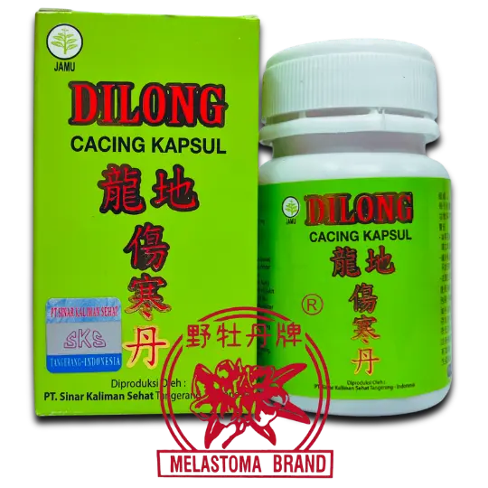Dilong