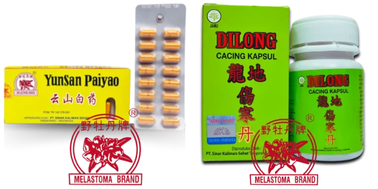 obat jamu herbal Melastoma