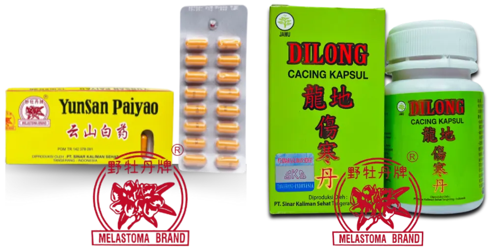 obat jamu herbal Melastoma