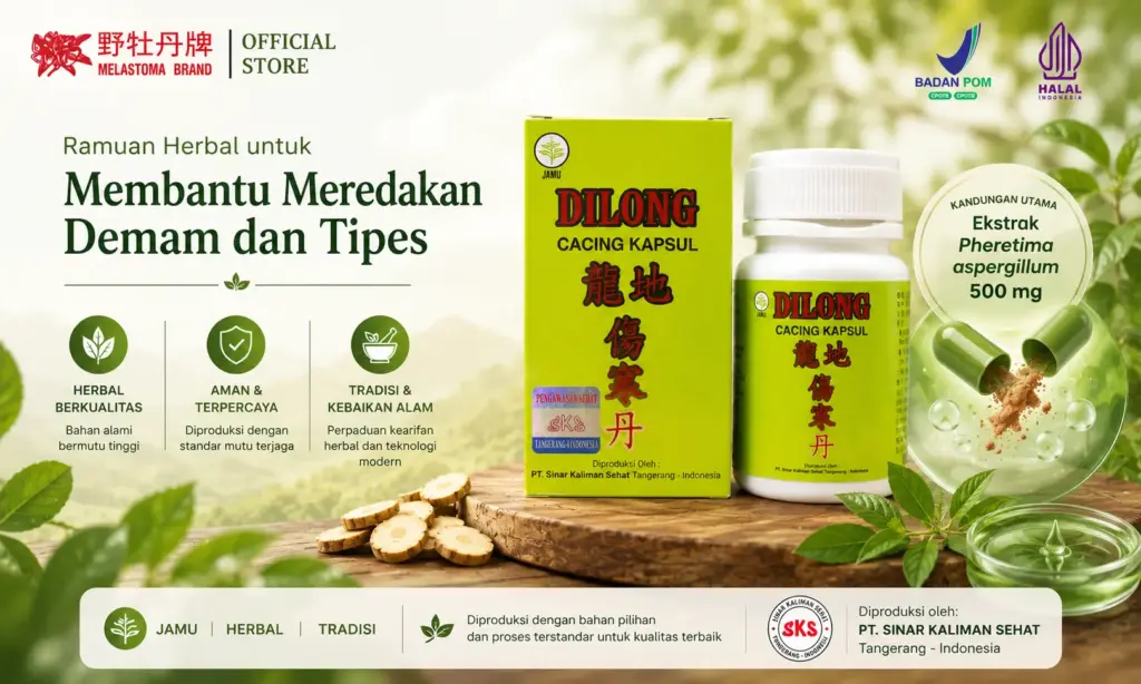 Dilong - 30Kapsul
