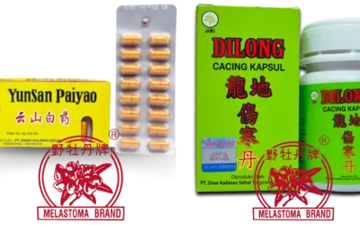 obat jamu herbal Melastoma