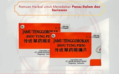 review hou tung pien